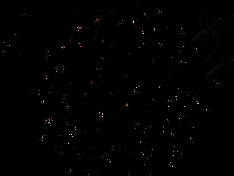 IMG00082-20100628-1658