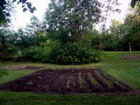 49veggiegarden2longview