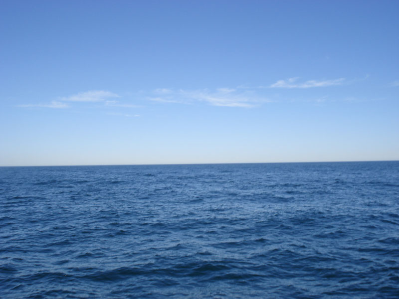 DSC01453