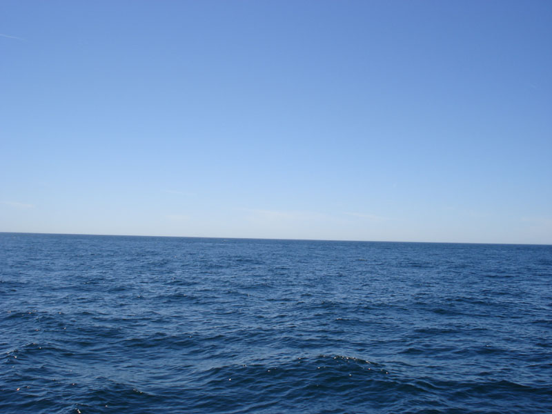 DSC01454