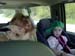 peanut_gallery_lora_loves_roxanne_to_death