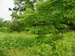 nomansland