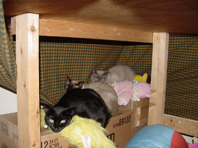 DSC00169