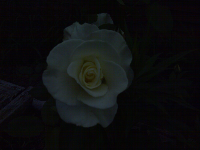 IMG-20110617-00088