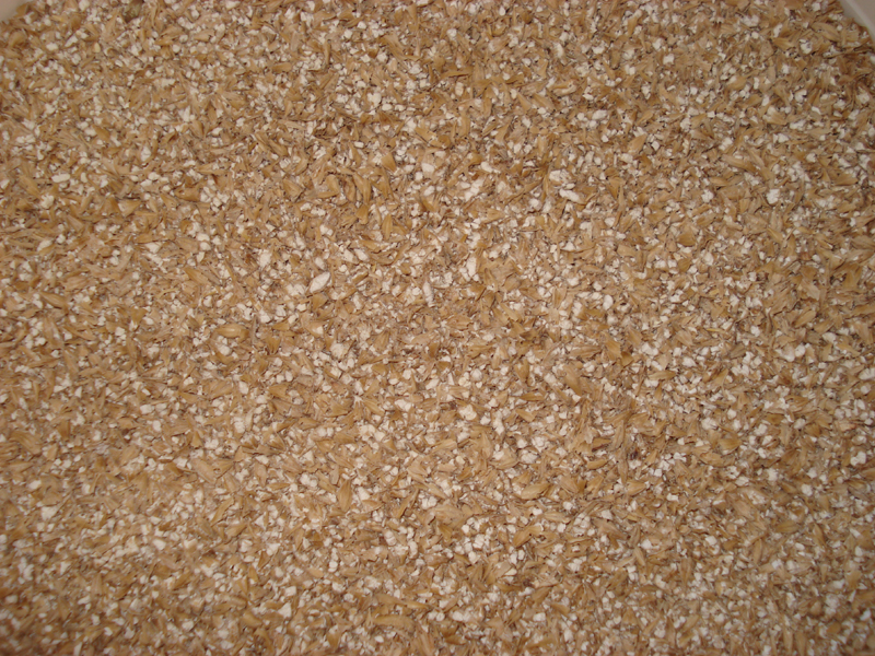 DSC00537