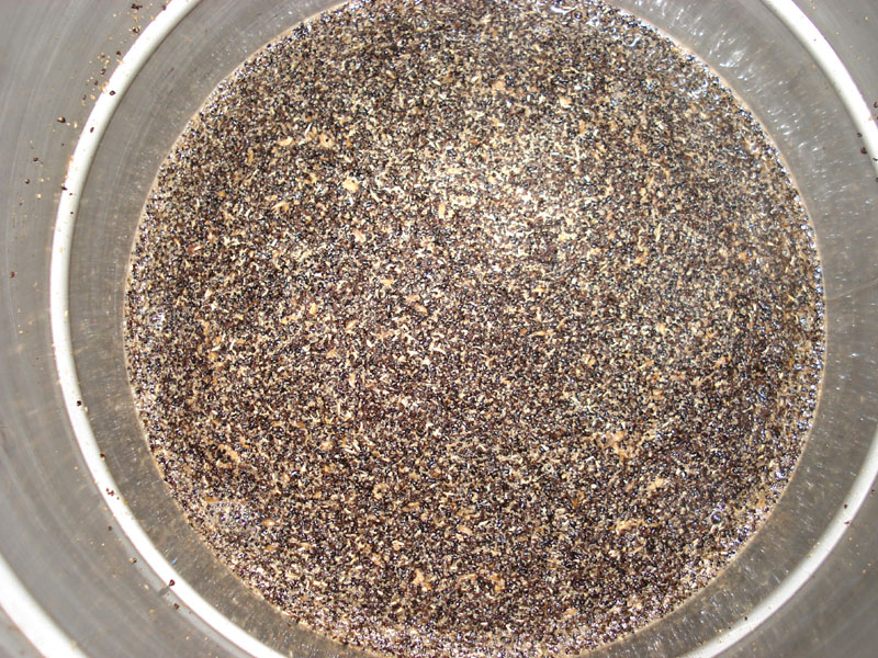 Generic_Dry_Stout_6_07_00