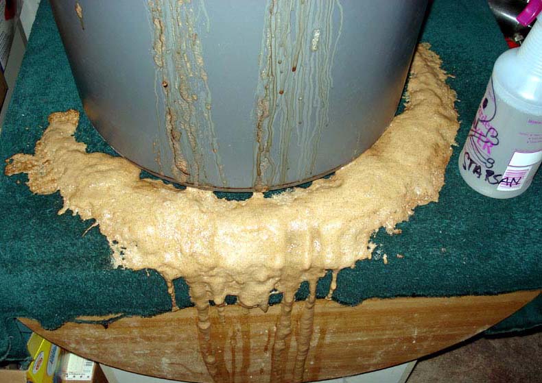 Generic_Dry_Stout_6_07_06