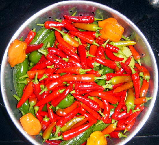 Peppers_2004_00
