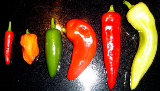 Peppers_2004_01