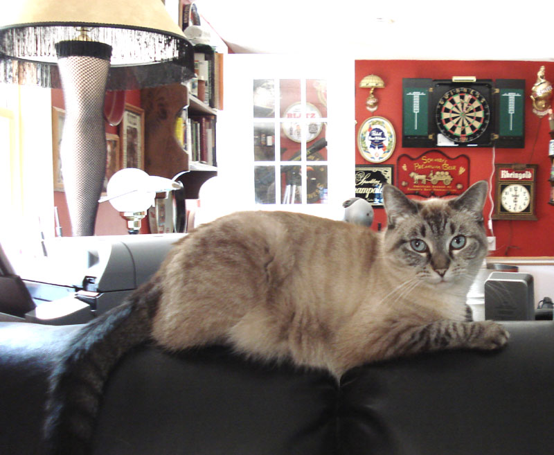 Rosie_June_2007
