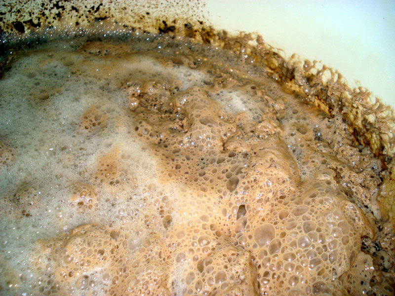 Timothy_Taylor_1469_Ferment