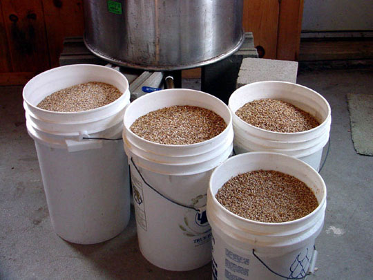 grain