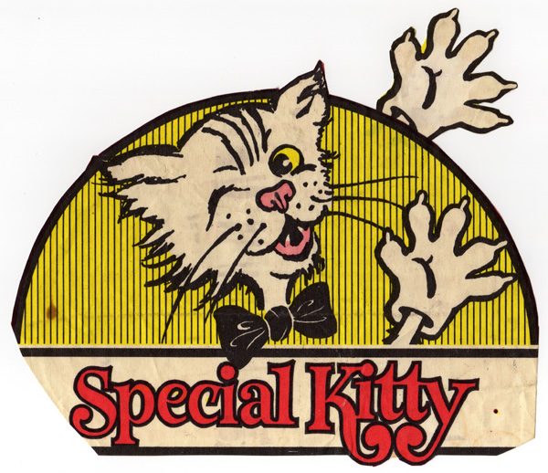 special_kitty_600_518