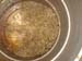 EK_American_Wheat_03