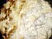 IPA_Tim_Taylor_Yeast_May_07_01