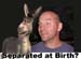 Macker_Donkey_Separated