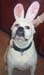 Zoe_Easter_2005