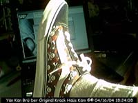 SkotCam29