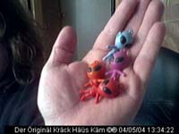 SkotCamII19