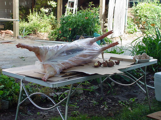 DSC00084