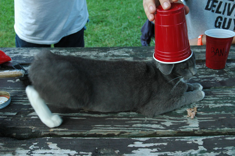 DSC_1105
