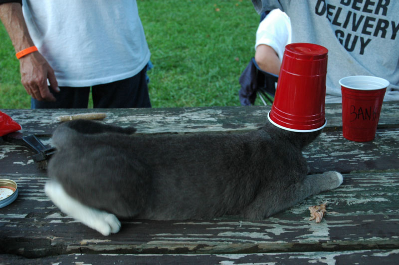 DSC_1106