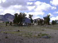 DSC00198