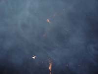DSC01640