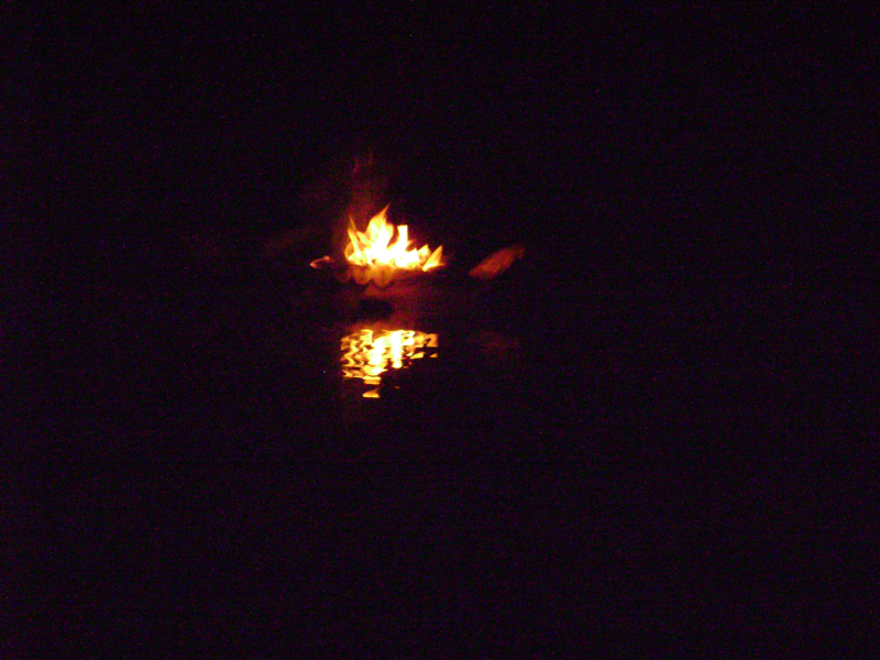 DSC00703
