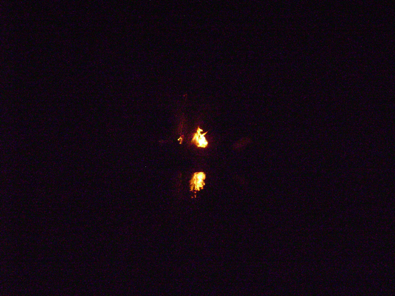 DSC00704