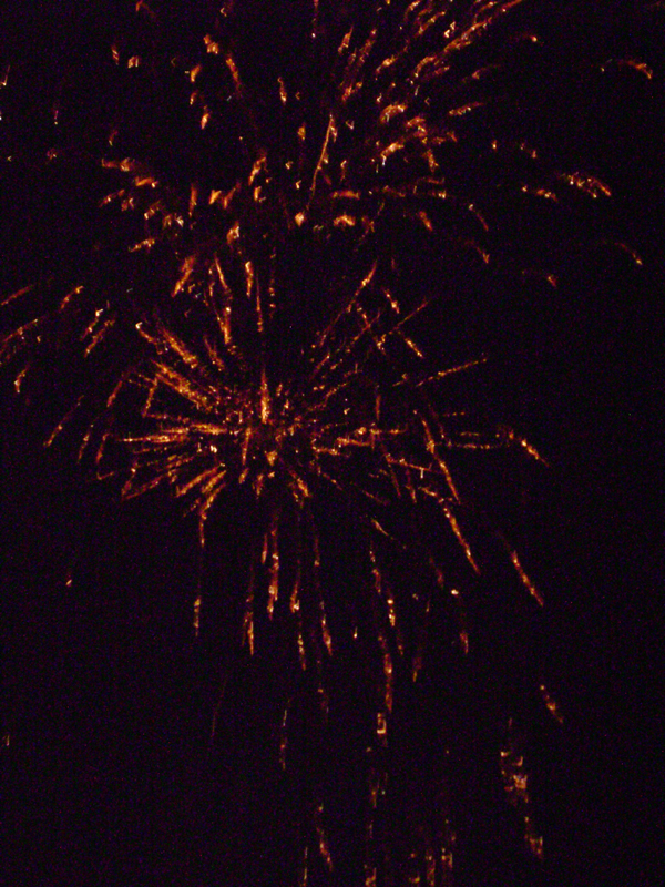 DSC00706
