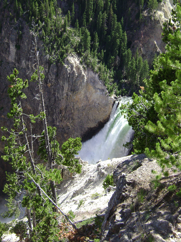 DSC01133