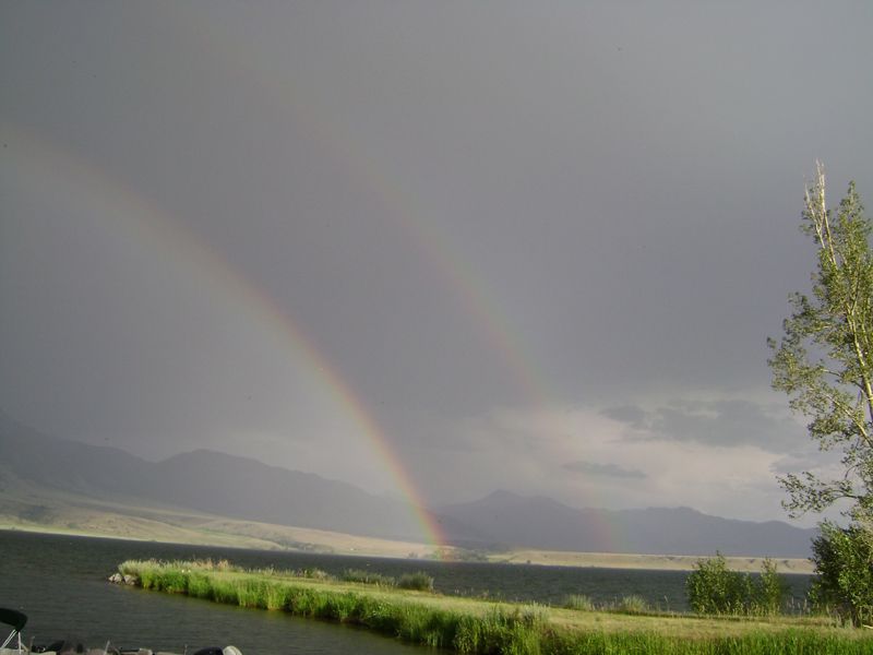 FestRainbow