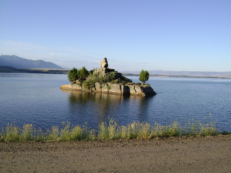 Picture 001
