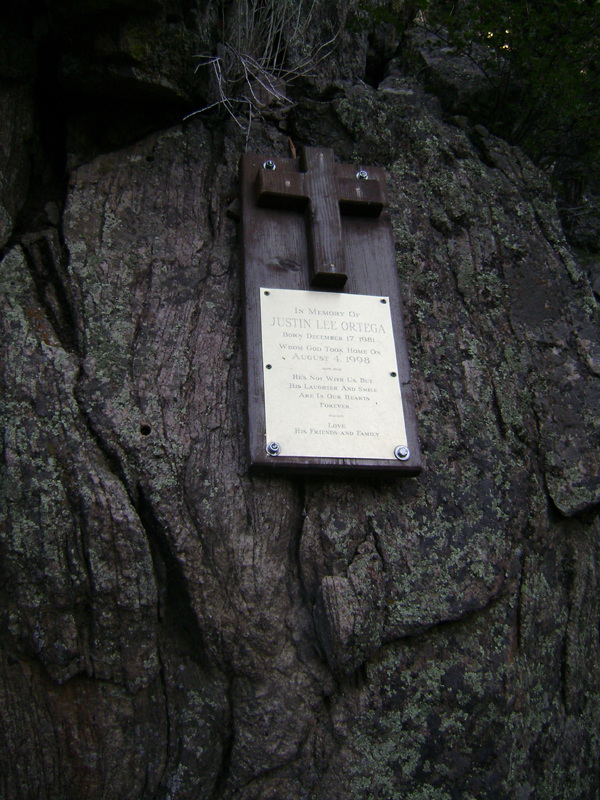 Picture 004