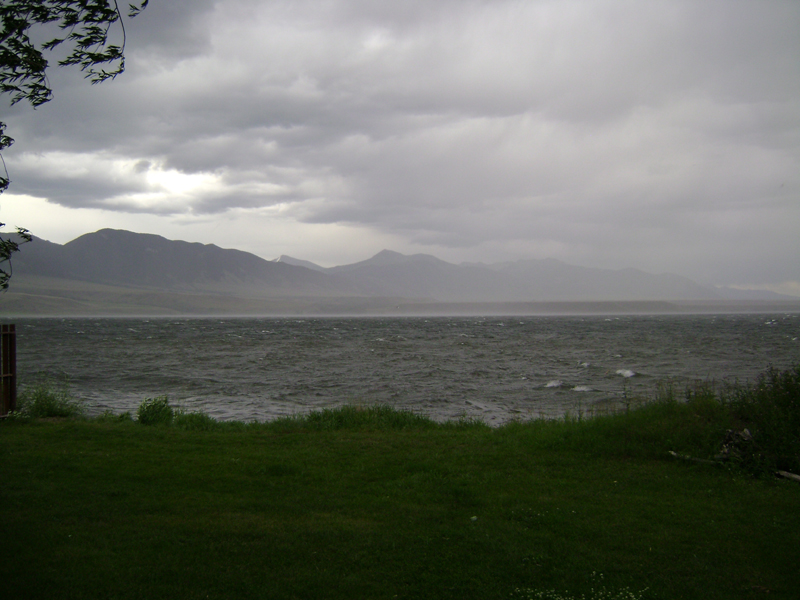 Picture 009