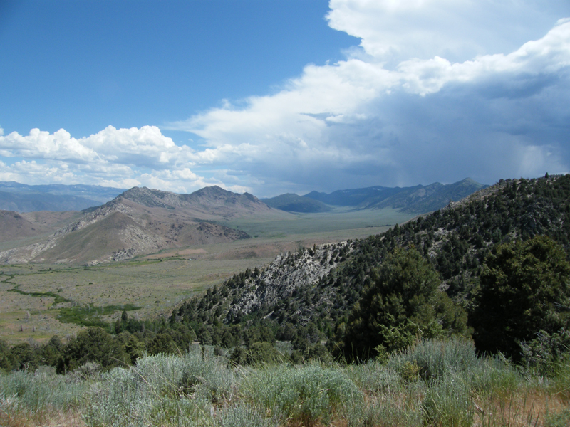 From the top of Monitor pass at about 8000 feet2