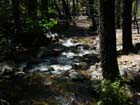 Bridal  Veil Falls12