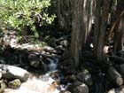 Bridal  Veil Falls14