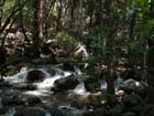 Bridal  Veil Falls16