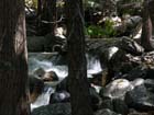Bridal  Veil Falls19
