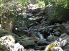 Bridal  Veil Falls20
