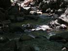 Bridal  Veil Falls23