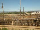 Denver old stockyards3