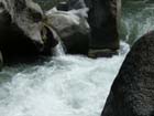 Stanislaus river29