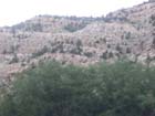 Western Colorado9